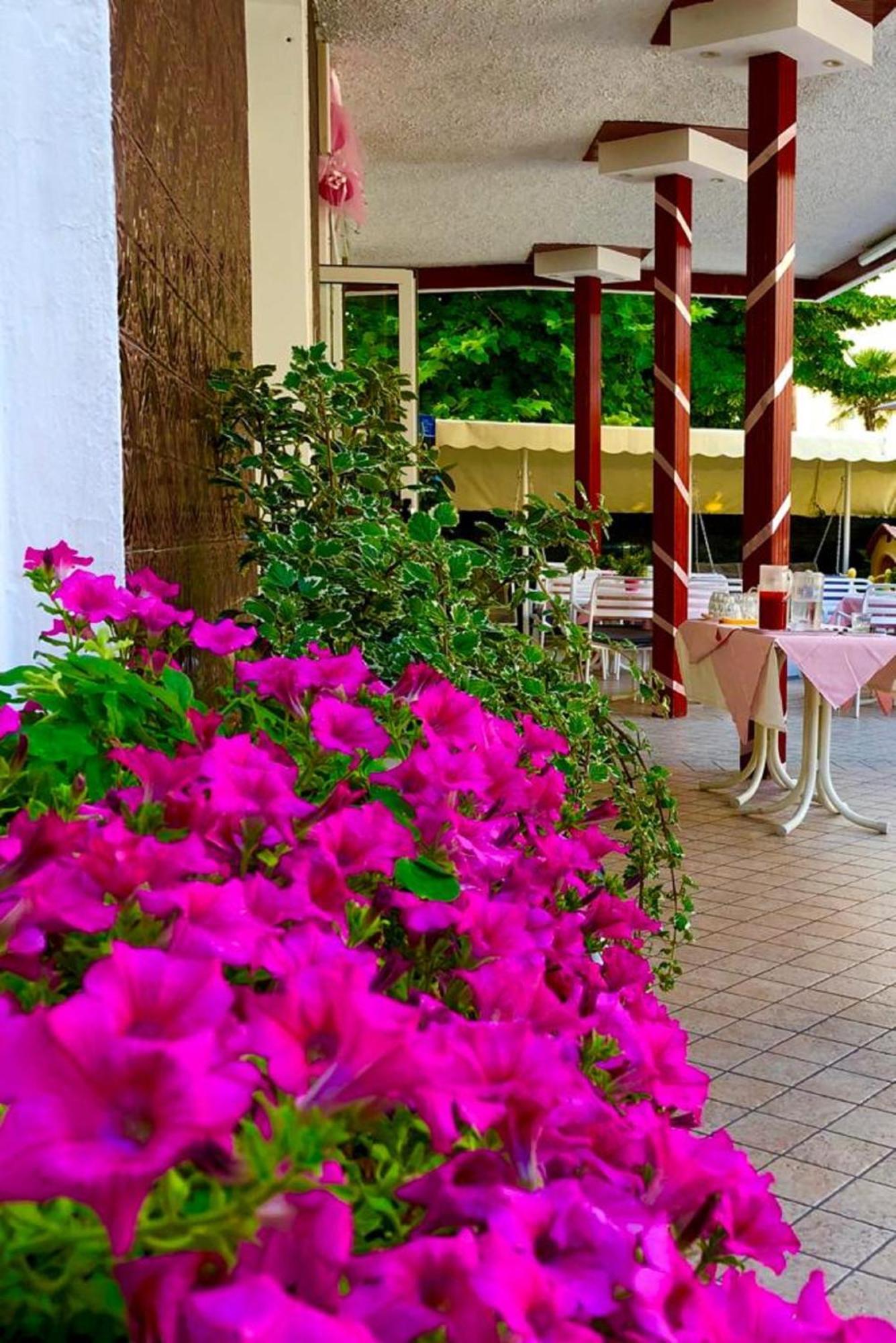 Hotel Alessi** 리미니 외부 사진